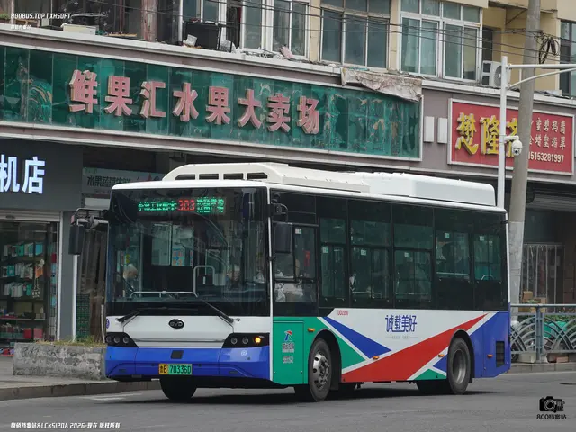800BUS