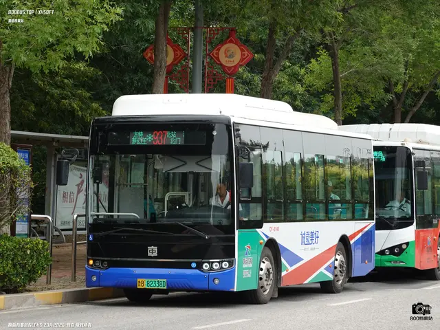 鲁B 82338D