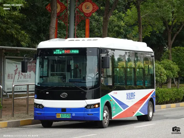 鲁B 87157D