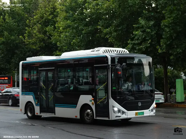 鲁A 51773D