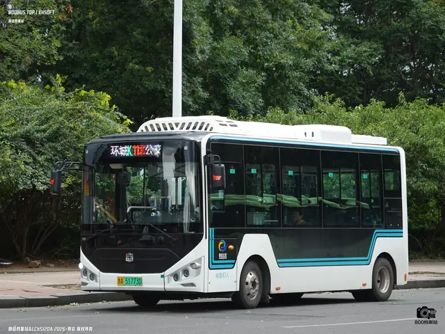 鲁A 51773D