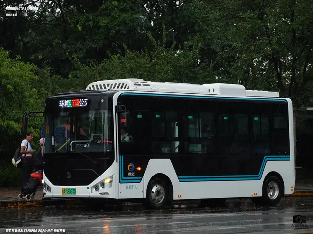鲁A 52063D