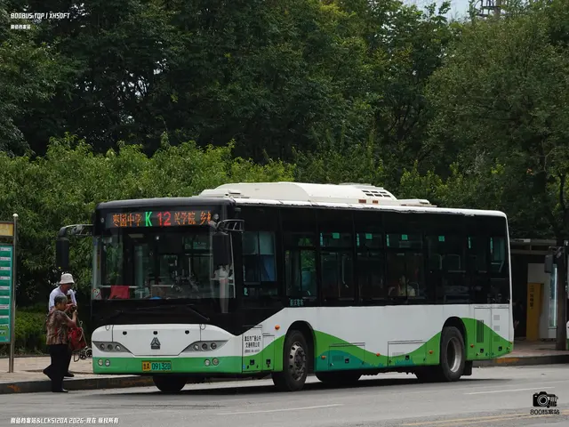 鲁A 09132D