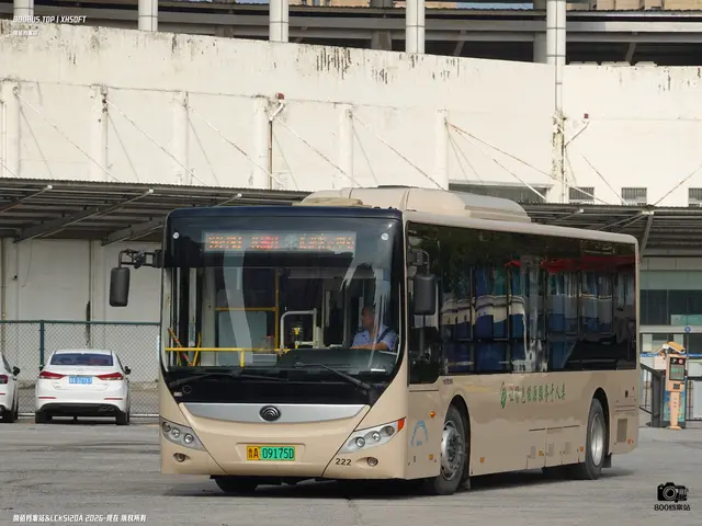 鲁A 09175D