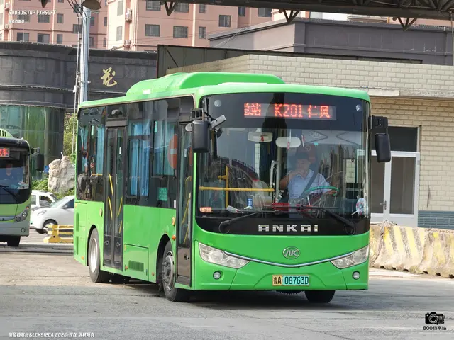 鲁A 08736D