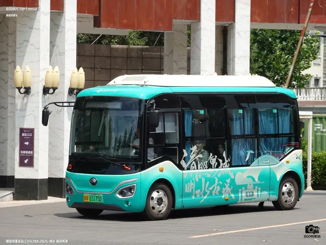鲁A 65175D