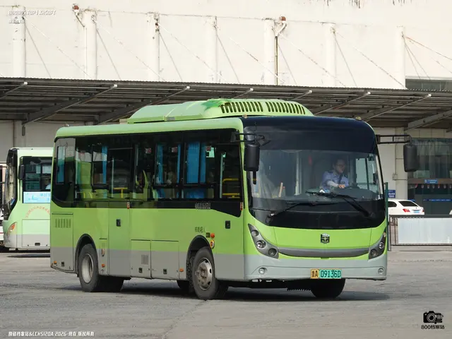 800BUS