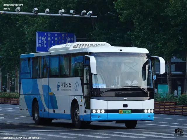 鲁A 08296D