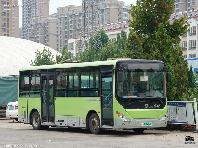 鲁A 03939D