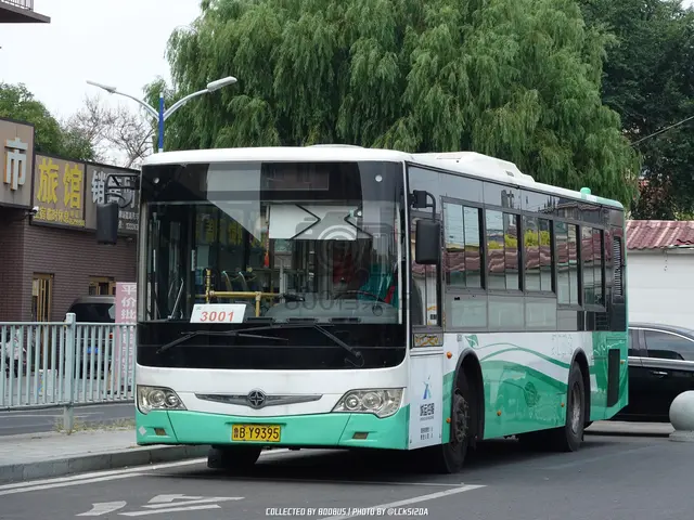 鲁B Y9395