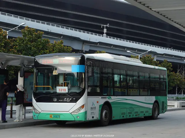 鲁B 16087D