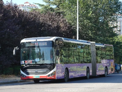 鲁F 06356D