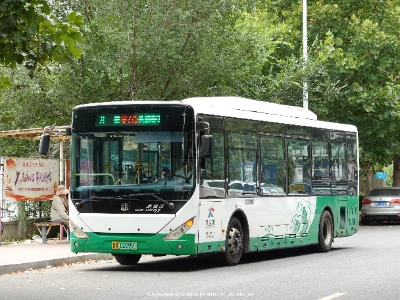 鲁B 02299D