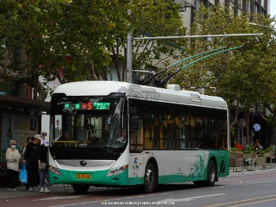 鲁U J3135