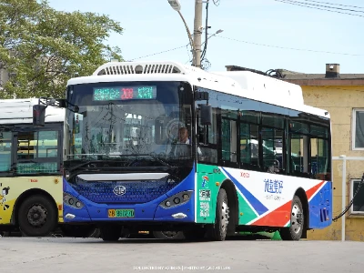 鲁B 86207D