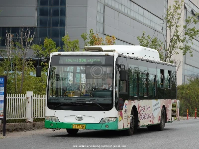 鲁B V2206