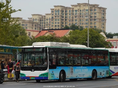 鲁B 08182D