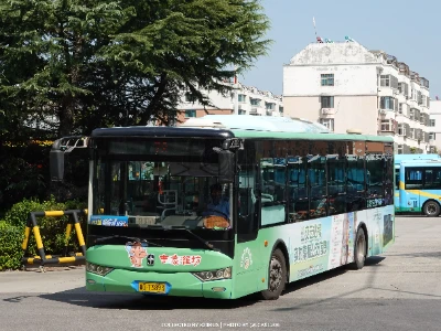 鲁G T3893