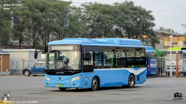 800BUS