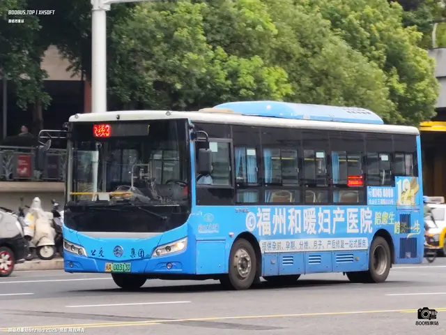 闽A 00313D