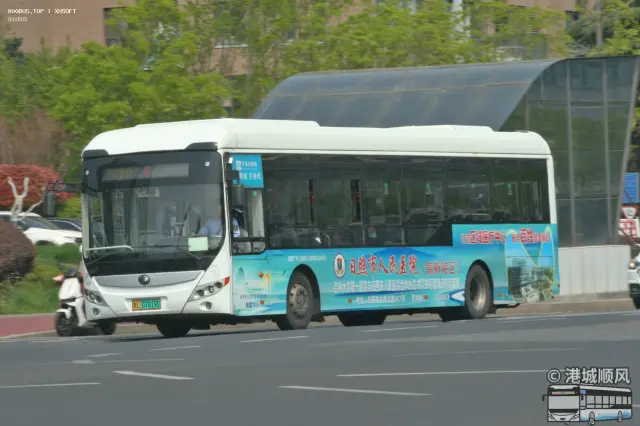 800BUS