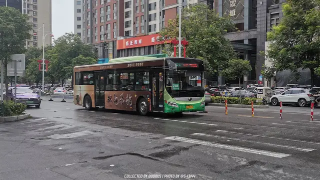 800BUS