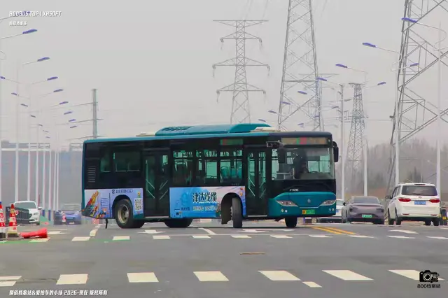 鲁A 00155D