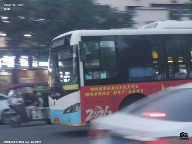 鲁P 9521