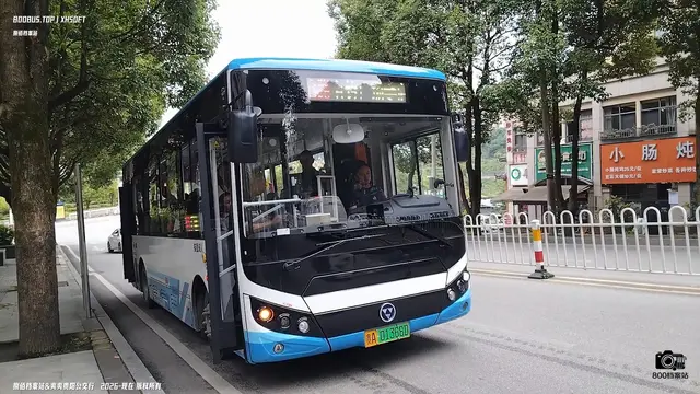 800BUS