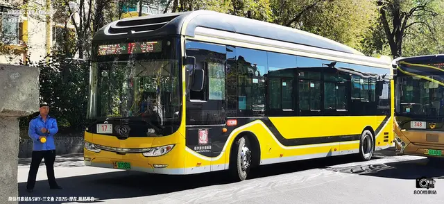 800BUS