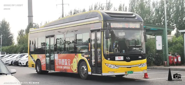 800BUS