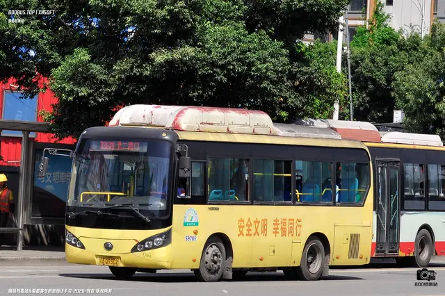 800BUS