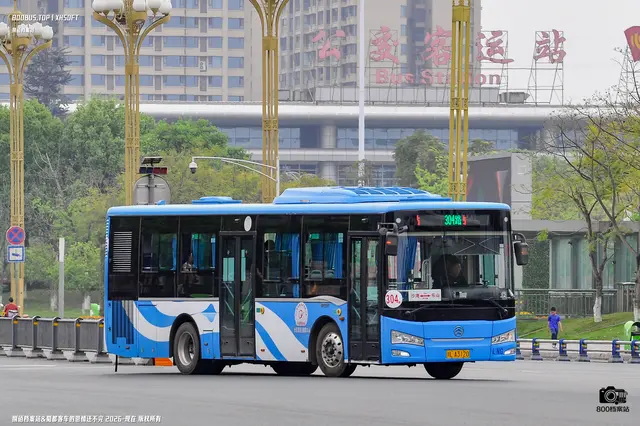 800BUS