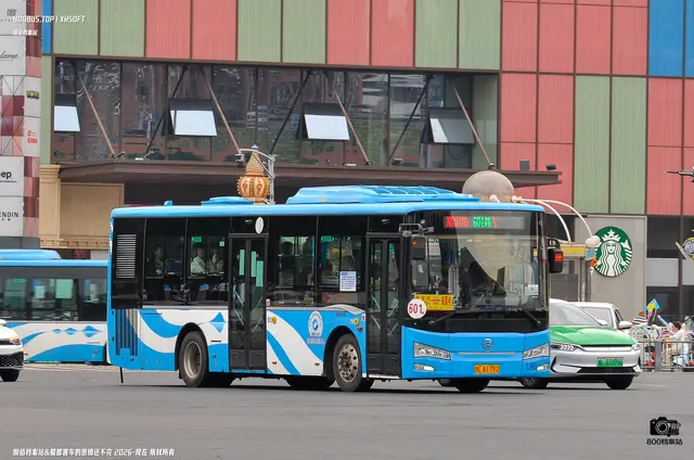 800BUS