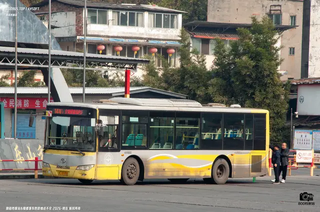 800BUS