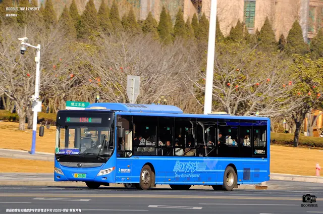 800BUS