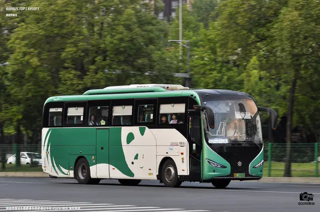 800BUS