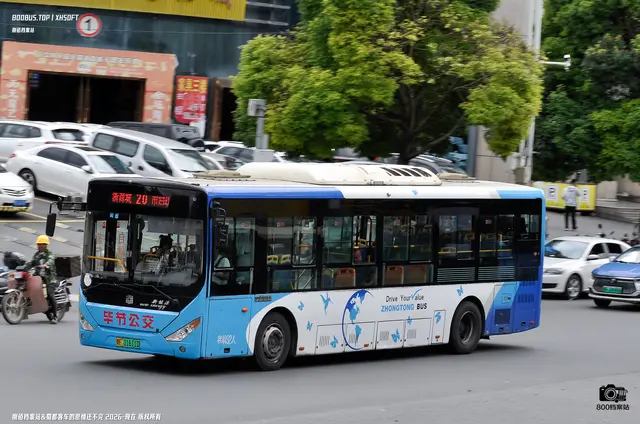 800BUS