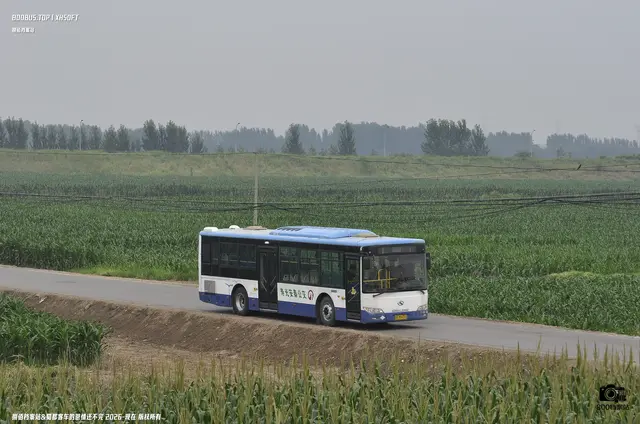 鲁G M9638