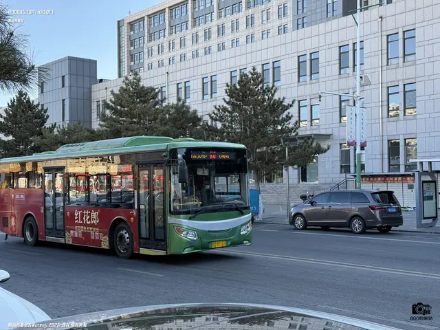 蒙D 95163