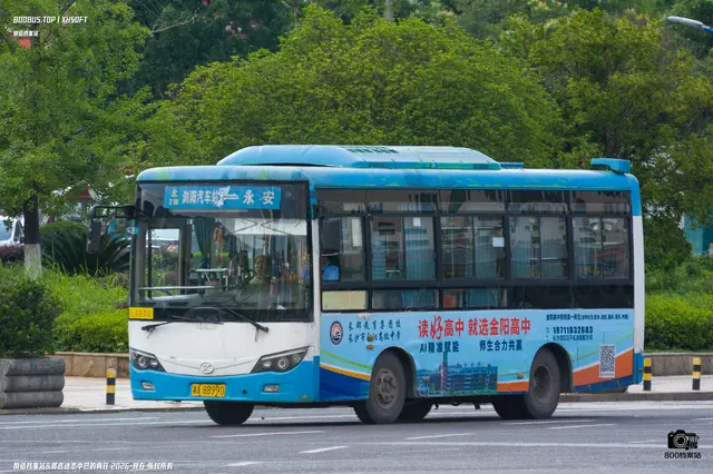 800BUS