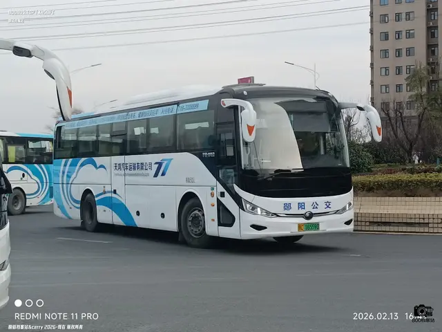 鄂C 16559D