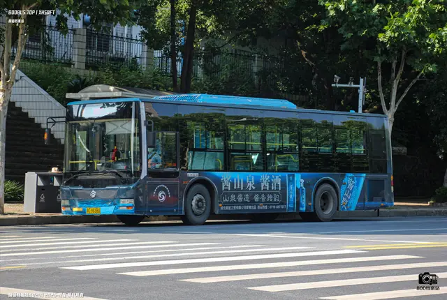 800BUS