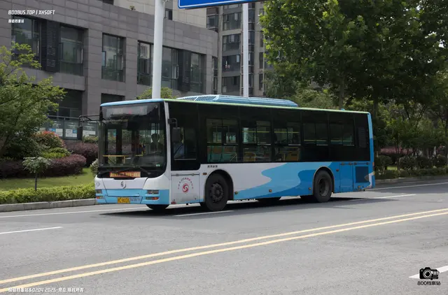 鄂C 9A225