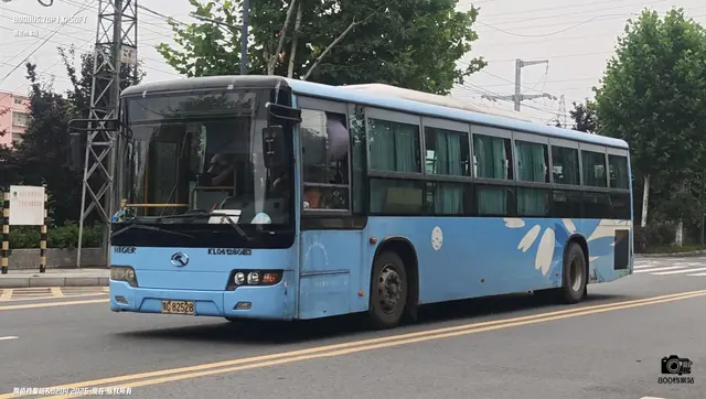 鄂C 82528