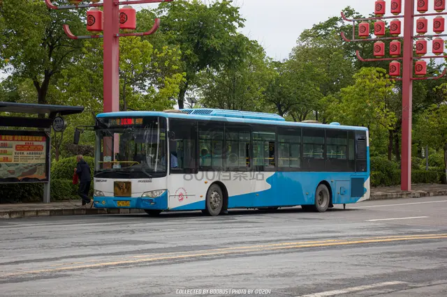 800BUS
