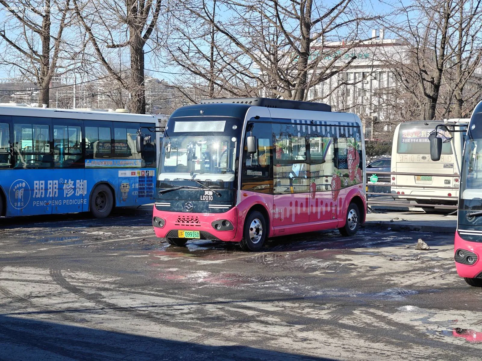 Bus Archive