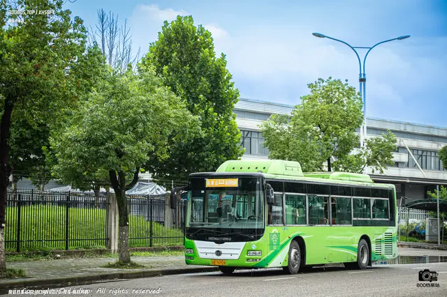 渝B T6929