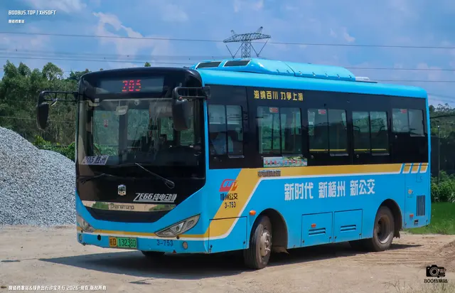 桂D 13238D