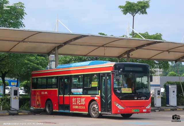 桂D 06229D